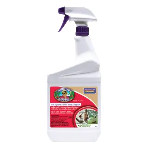 Bonide Deadbug Brew 250 Dead Bug Brew, Liquid, 1 qt