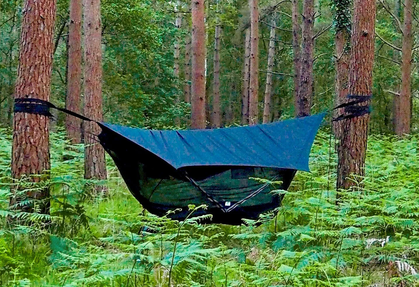 Hammock Bliss Sky Tent 2 - ST2 - Black