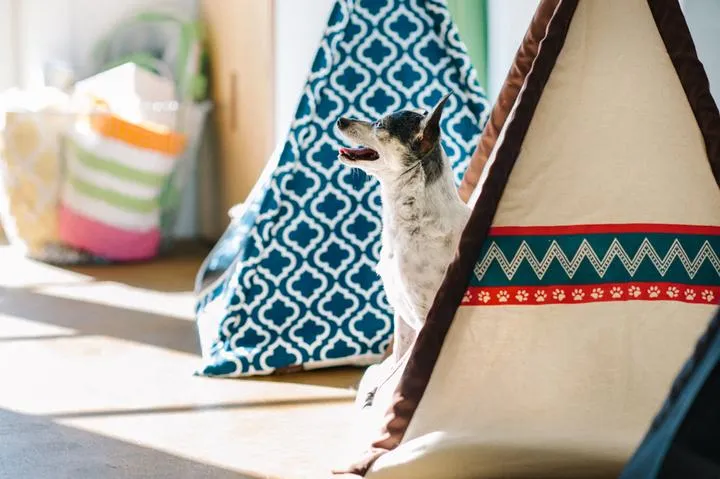 Pet Teepee Classic