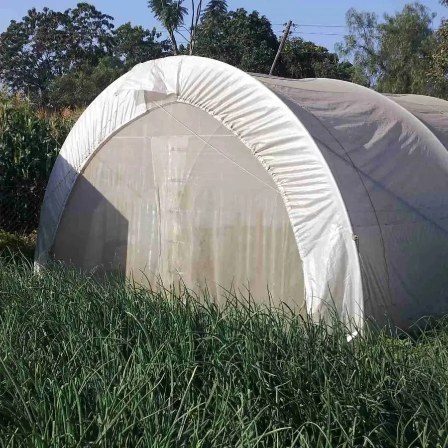 PIC-PLAST 6 X 12m Tunnel Greenhouse With Side Curtains & Ventilation Roof – Stk Compact