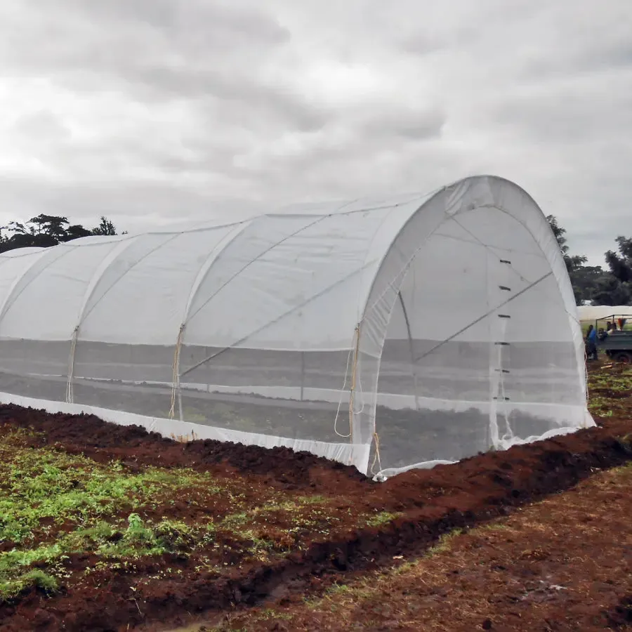 PIC-PLAST 6 X 12m Tunnel Greenhouse With Side Curtains & Ventilation Roof – Stk Compact