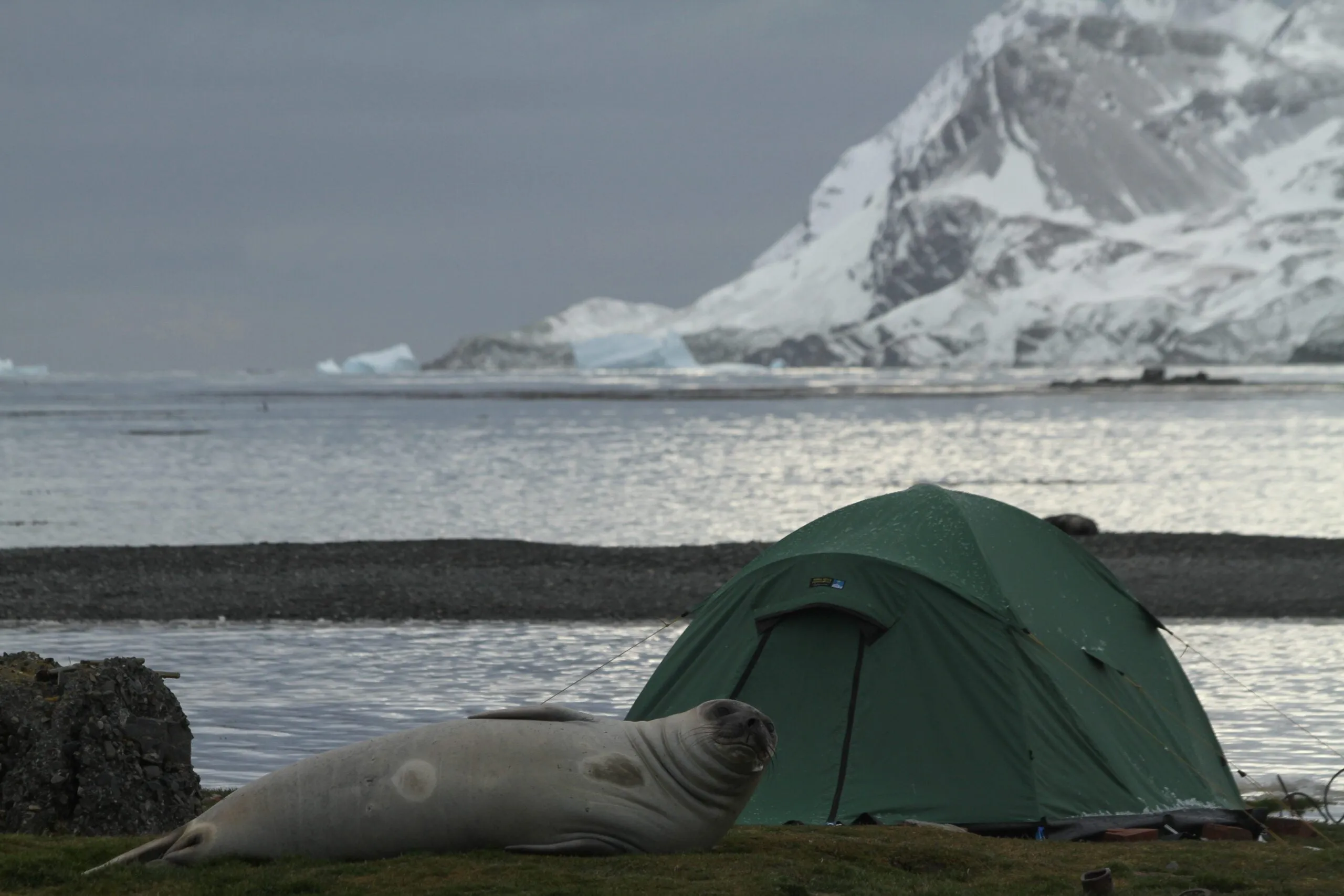 Terra Nova Quasar E Tent