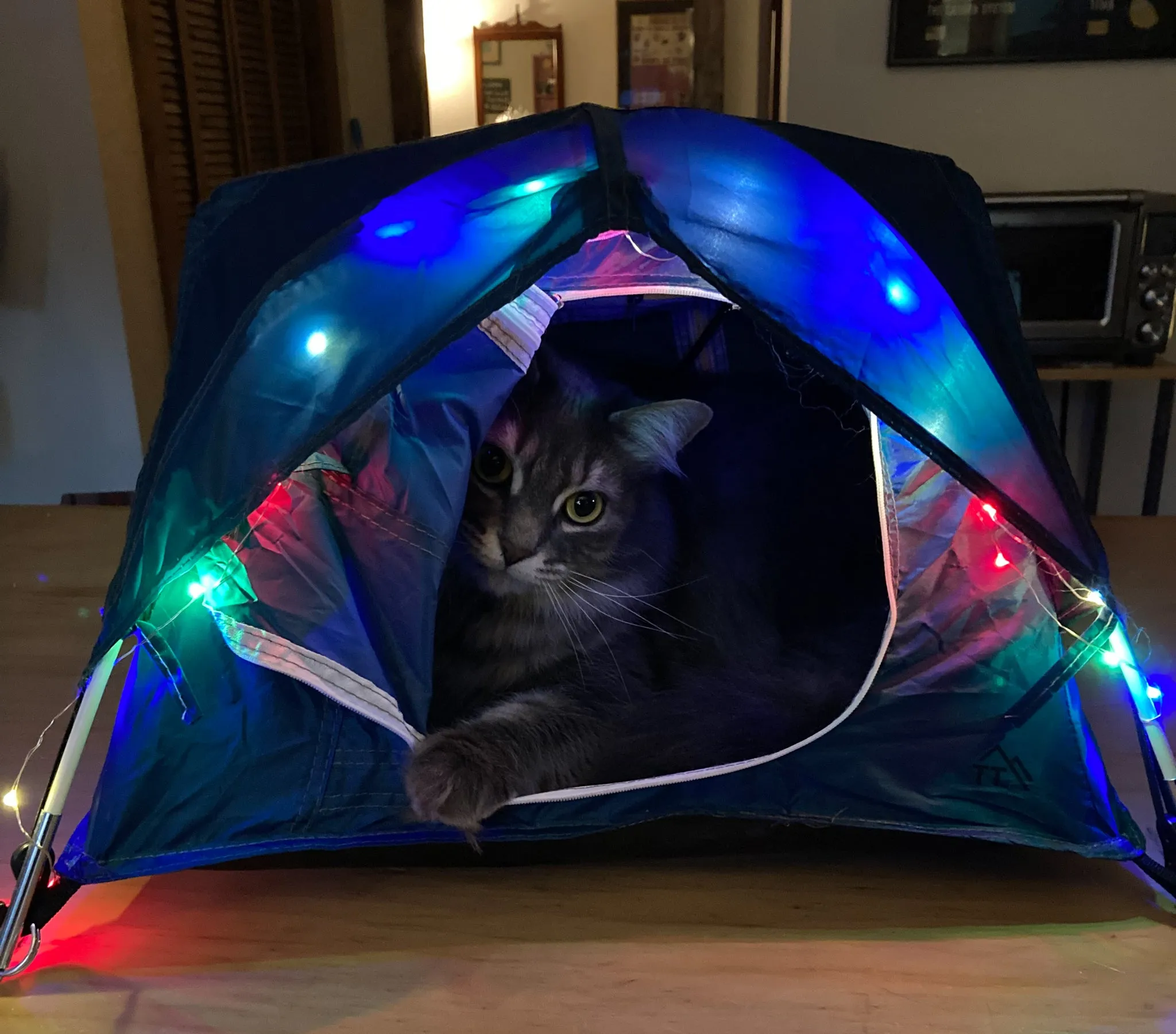 Tiny Tent