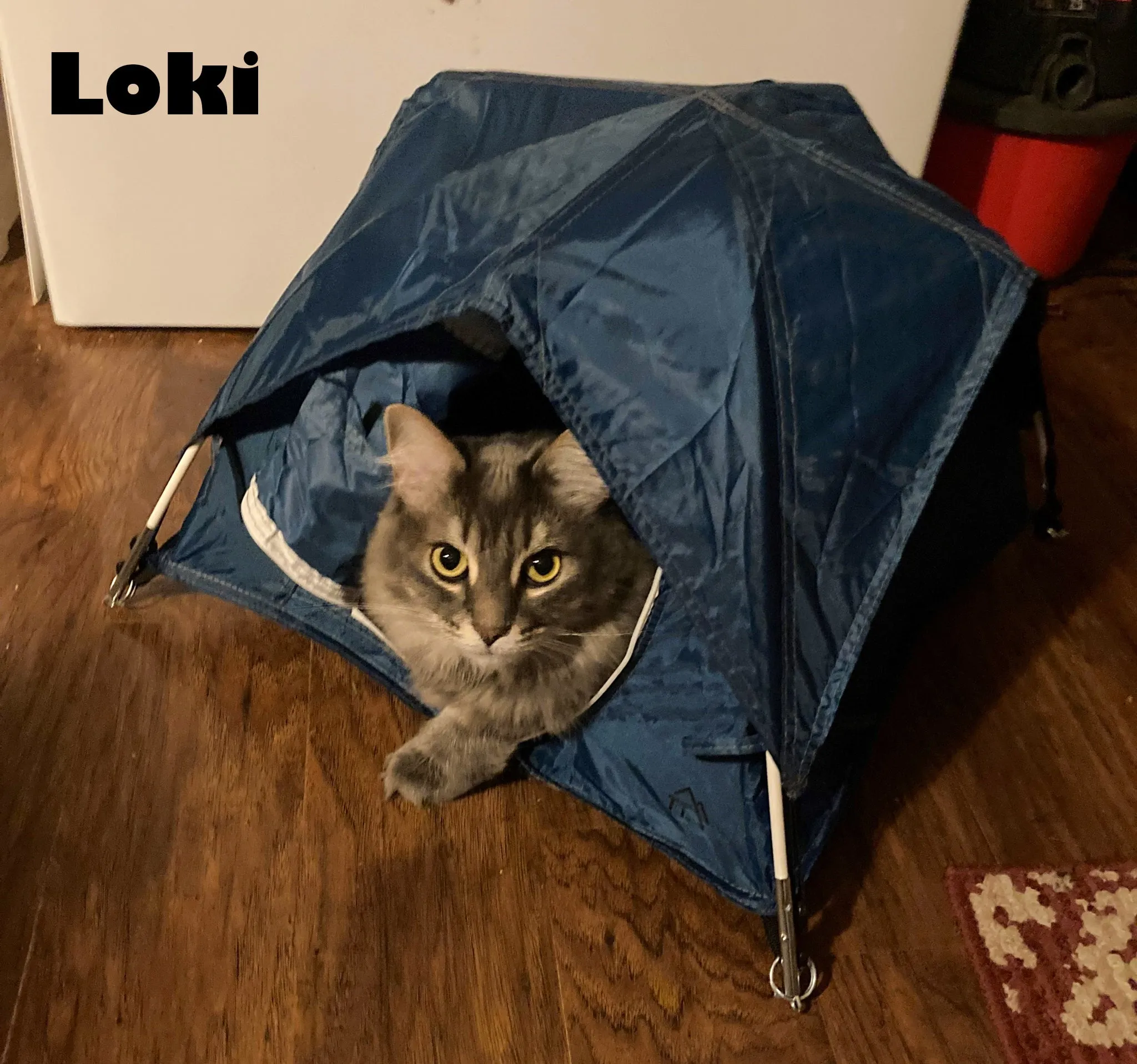 Tiny Tent