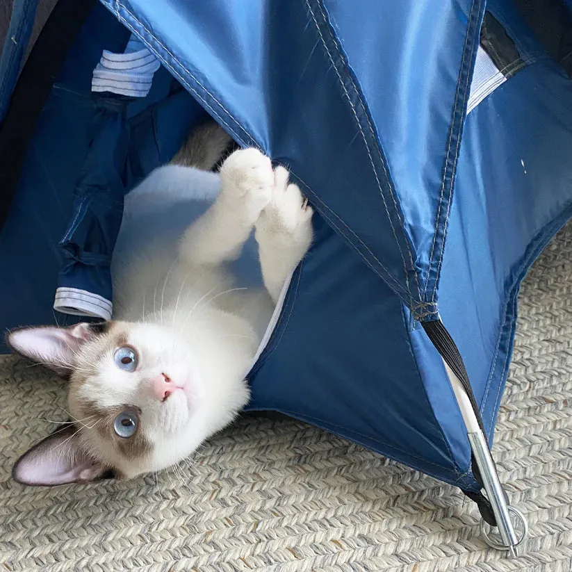 Tiny Tent