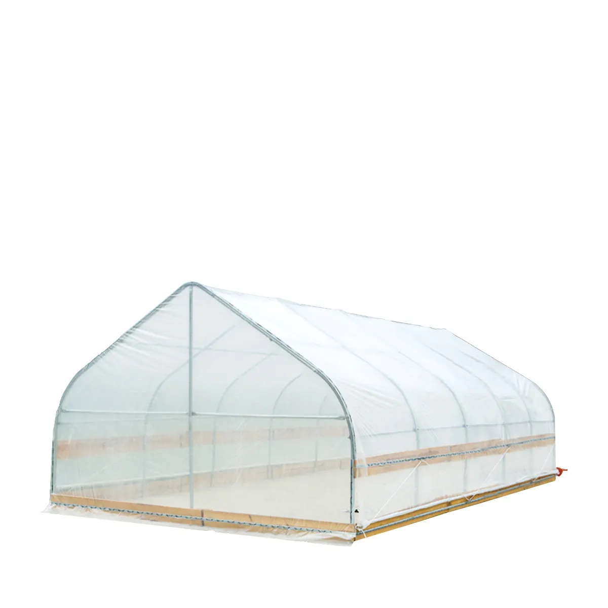 TMG Industrial 12’ x 20’ Tunnel Greenhouse Grow Tent w/6 Mil Clear EVA Plastic Film, Cold Frame, Hand Crank Roll-Up Sides, Peak Ceiling Roof, TMG-GH1220