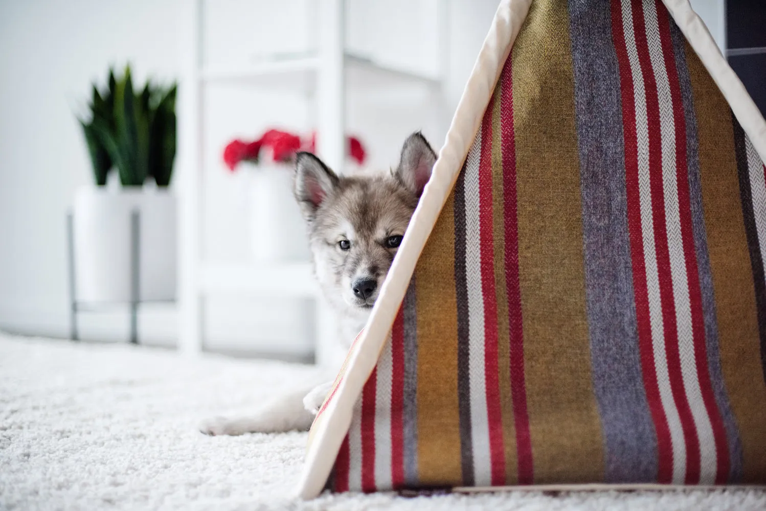 woodland horizon teepee